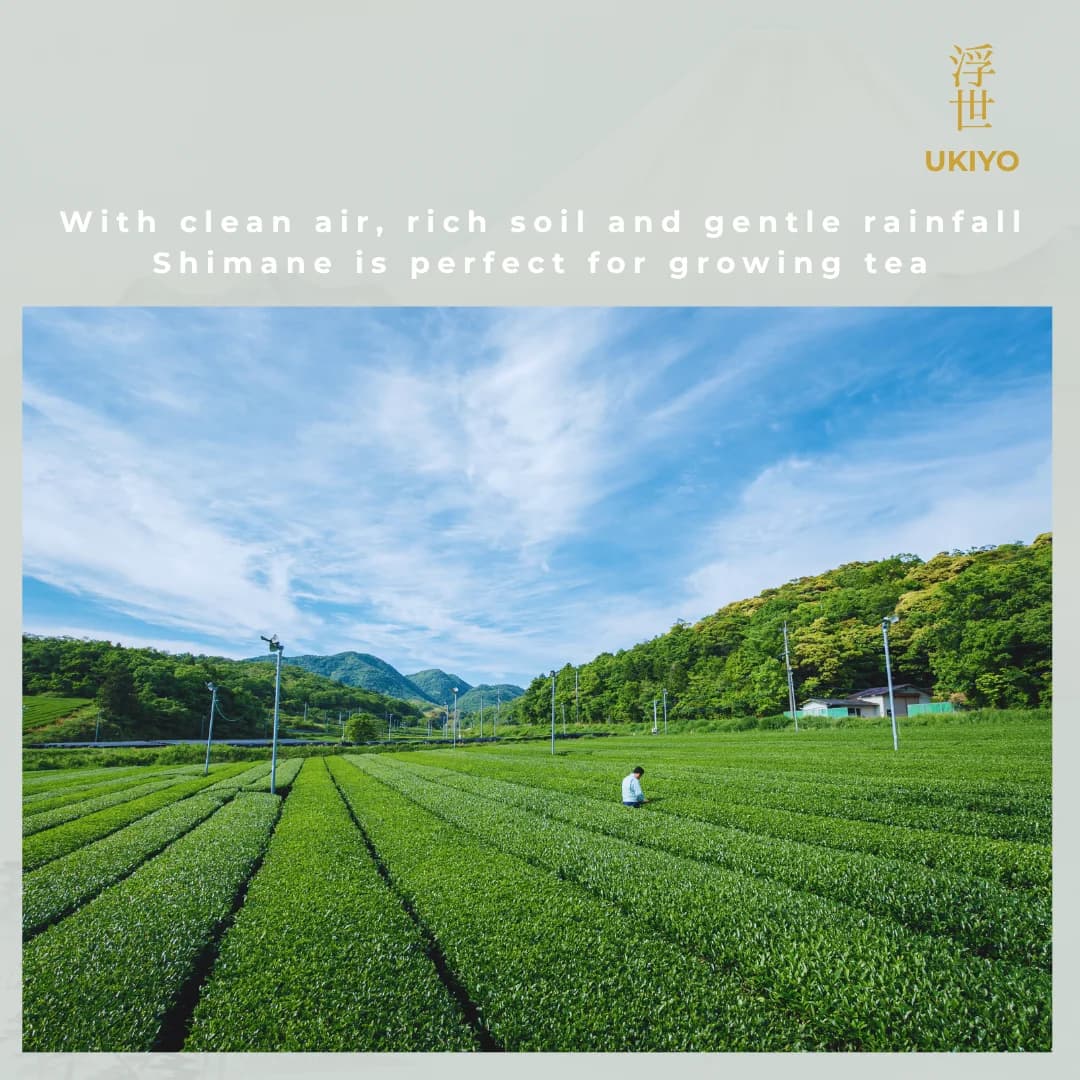 Ukiyo Kiwami image 4