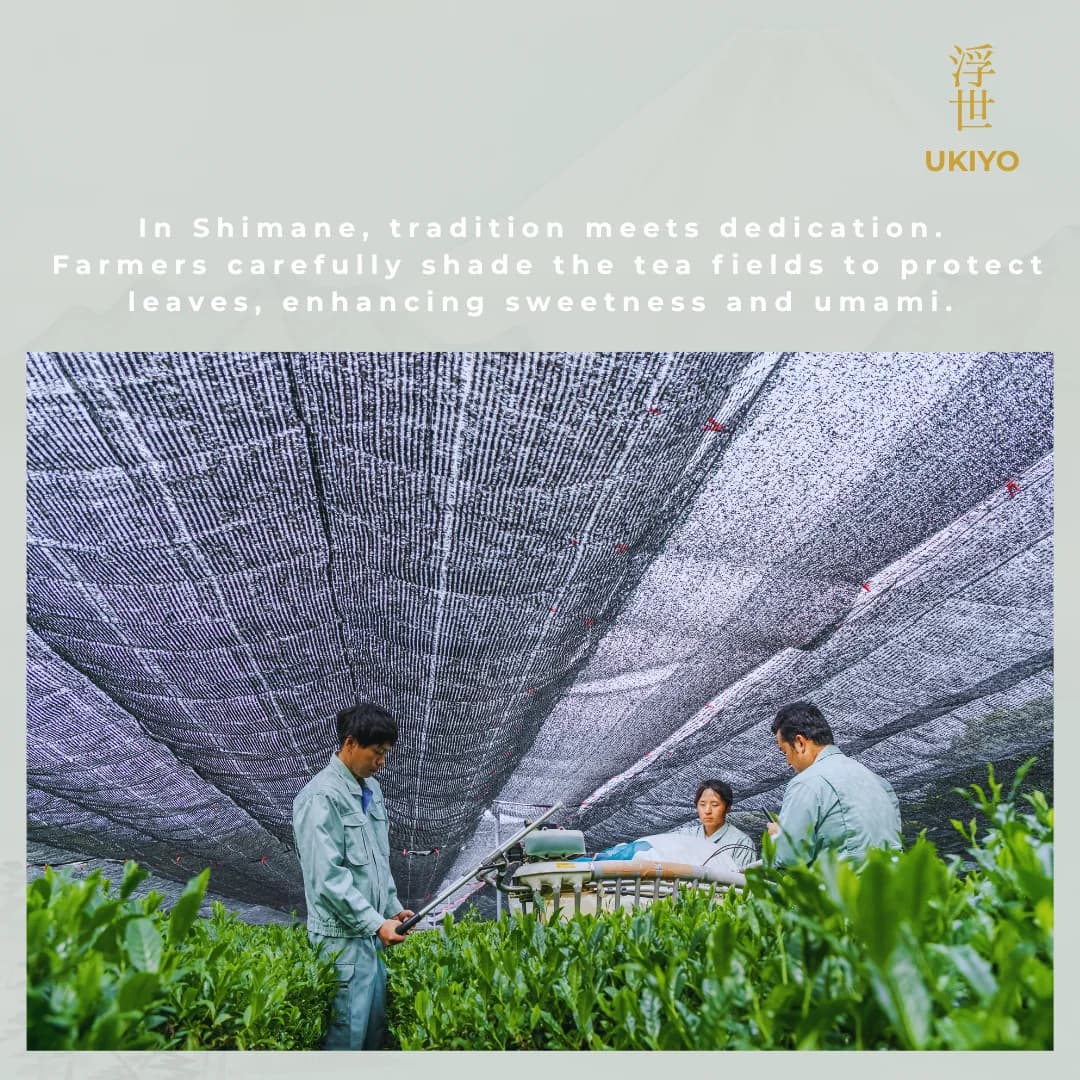 Ukiyo Kiwami image 5